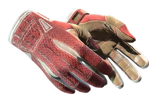 Sport Gloves | Slingshot